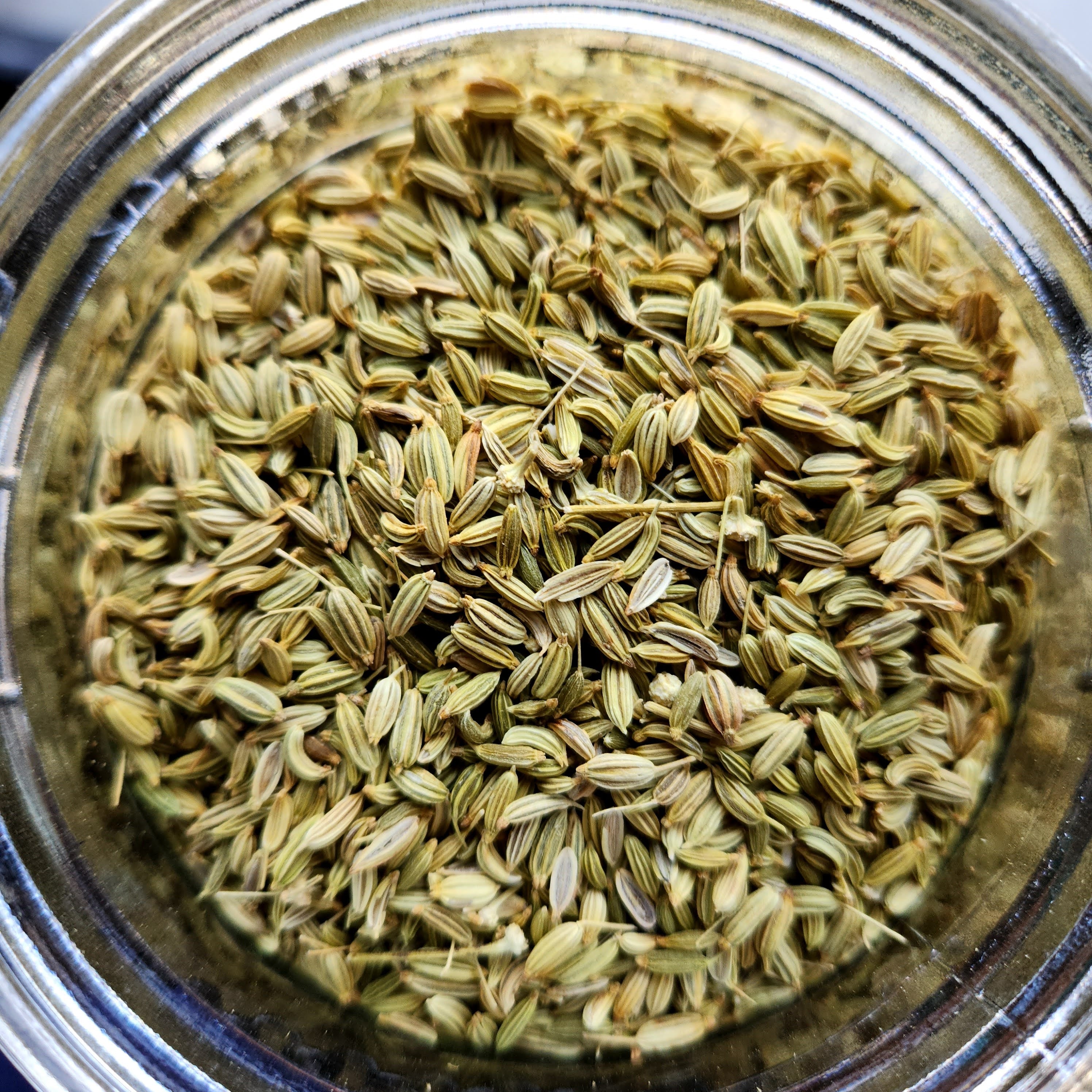 Fennel, Lucknow, Single Origin – Suraj Spices & Teas