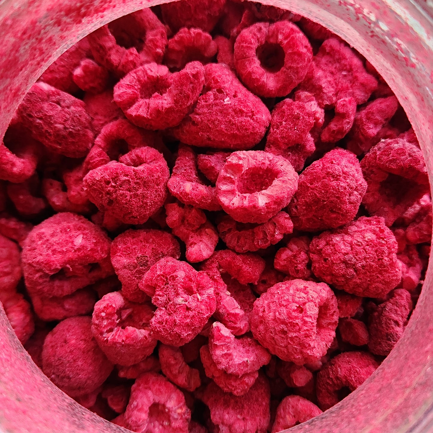 Raspberry, Freeze Dried