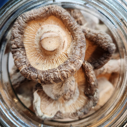 Shiitake Mushrooms, Organic