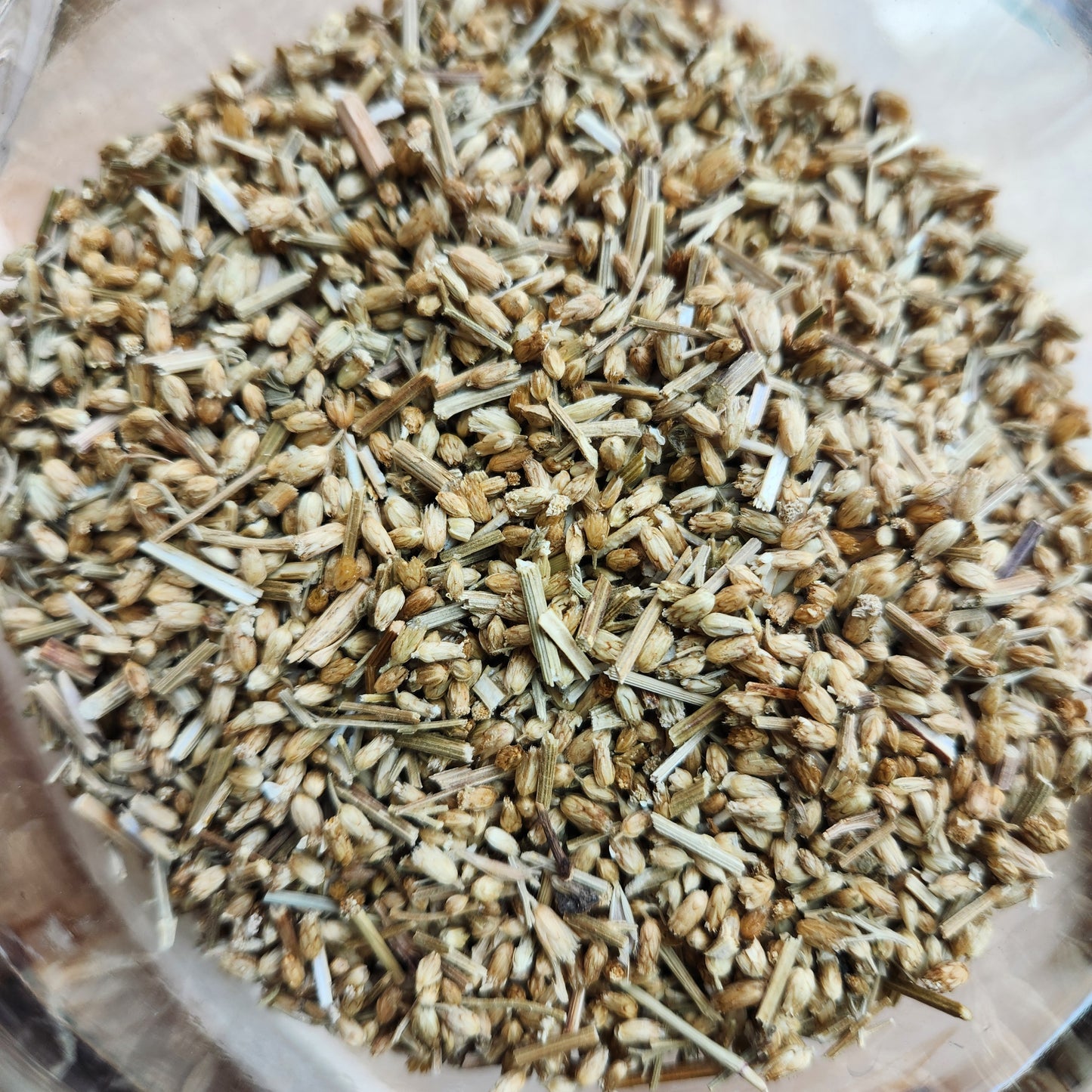 Yarrow Flowers, Organic