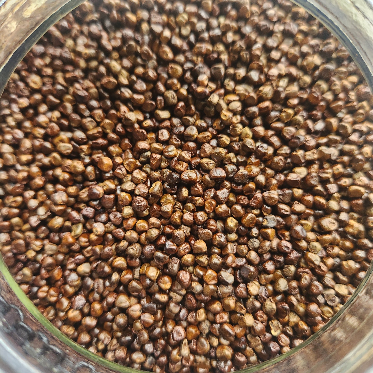 Grains of Paradise, Single Origin, Ethiopia